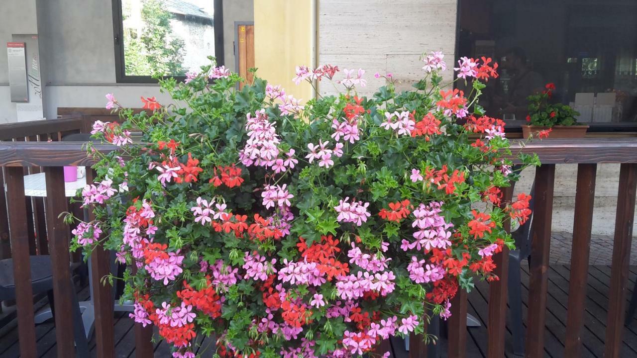 Albergo Ristorante Centro Vico Canavese 外观 照片