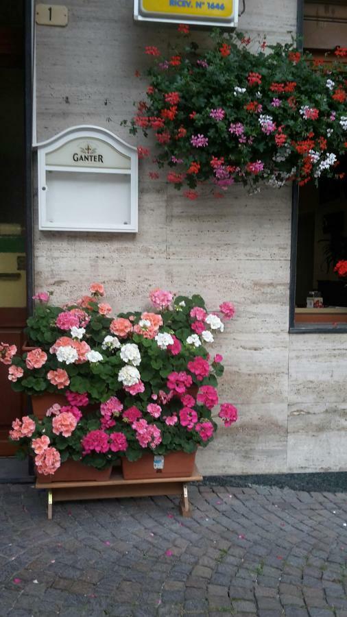 Albergo Ristorante Centro Vico Canavese 外观 照片